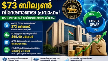 RBI Forex Swap: ഇന്ത്യയിലേക്ക് $73 ബില്യൺ ഒഴുകി, ഇന്ത്യയുടെ ബാങ്കിങ്ങിൽ NRI വിശ്വാസം ശക്തം